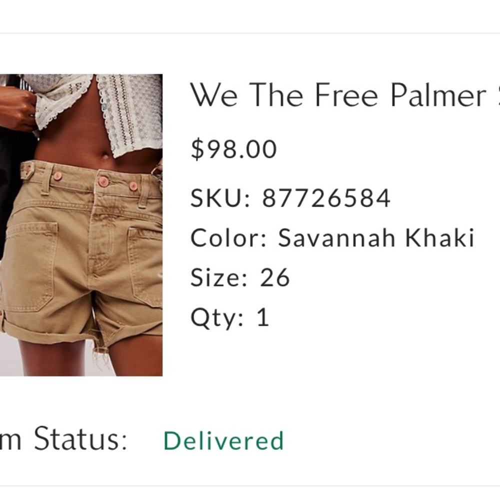 We The Free Palmer Shorts